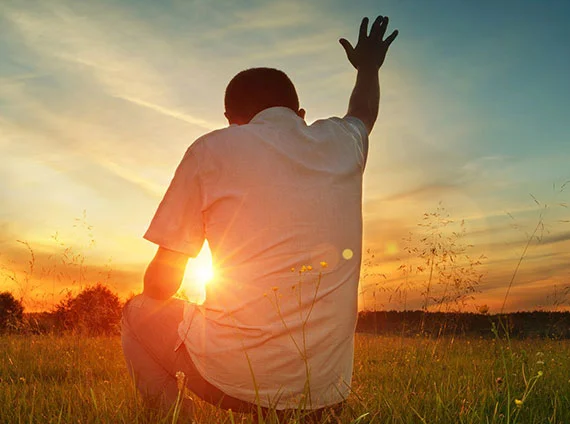 Colhe-se o que se planta